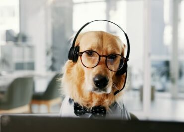 Czy okulary do komputera są potrzebne osobom bez wady wzroku?